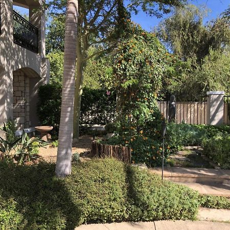 African Palm Cottage And Guesthouse Дурбанвілл Екстер'єр фото